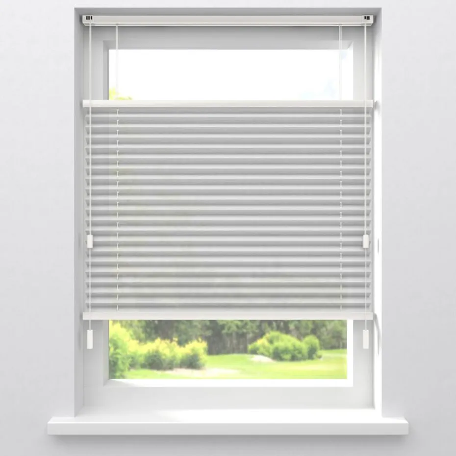 Fenstr Plissé Lina Wit Transparant