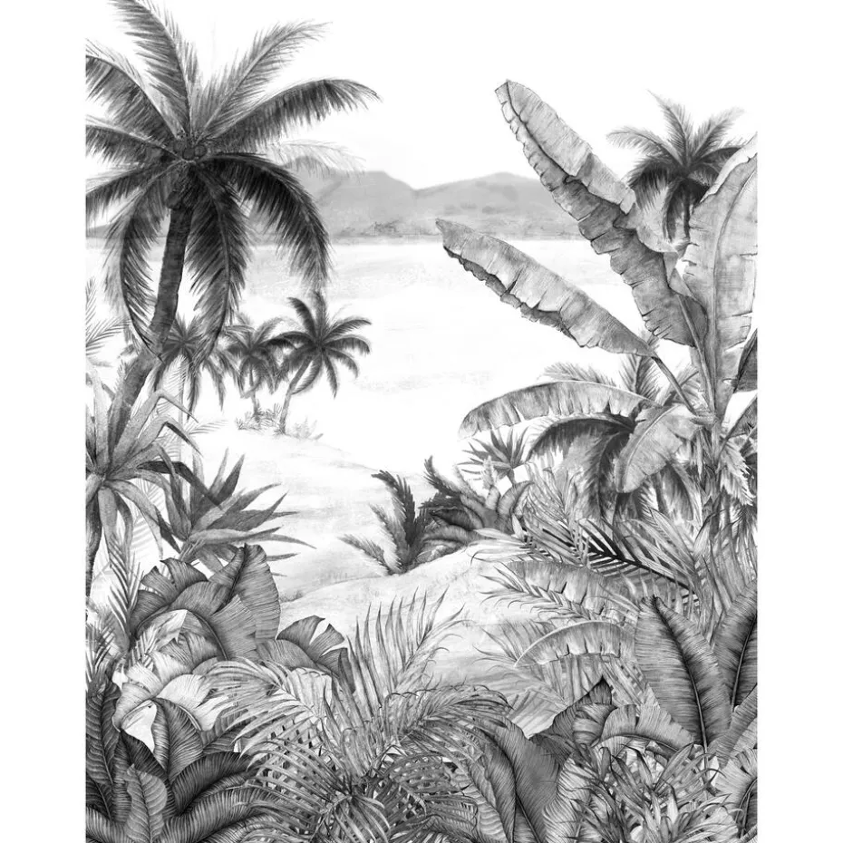 Fotobehang Palm Zwart