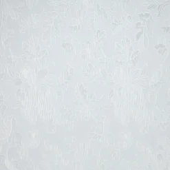 Plakfolie Blad Transparant