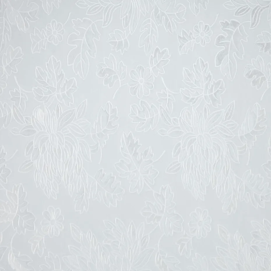 Plakfolie Blad Transparant