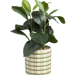 Plant In Pot Carreaux Groen