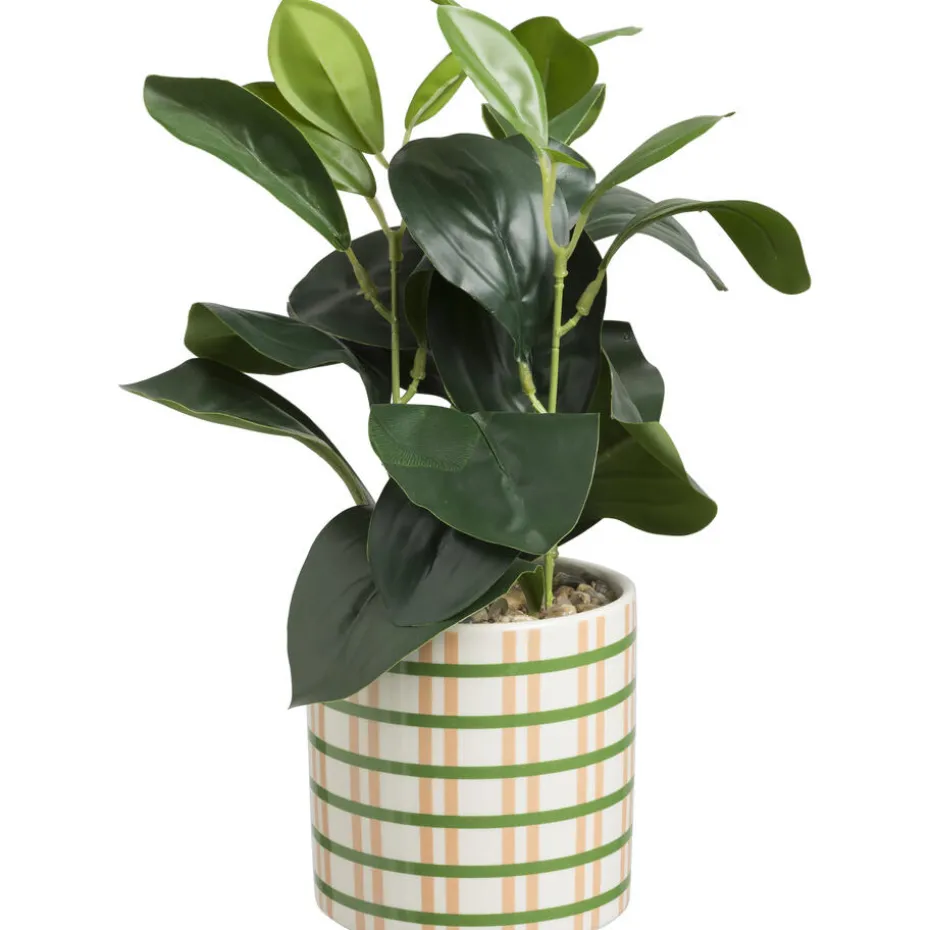 Plant In Pot Carreaux Groen