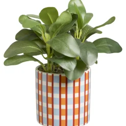 Plant In Pot Carreaux Rood