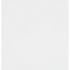 Staal Inbetween Mariska Wit