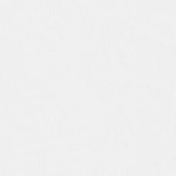 Staal Rolgordijn Lizzy Wit