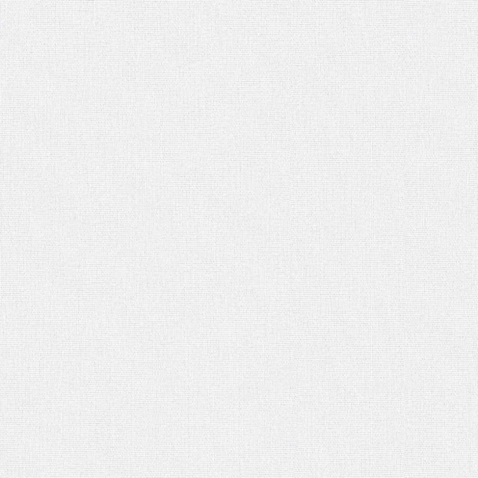 Staal Rolgordijn Lizzy Wit