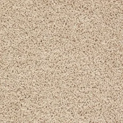 Staal Tapijt Anamosa Beige