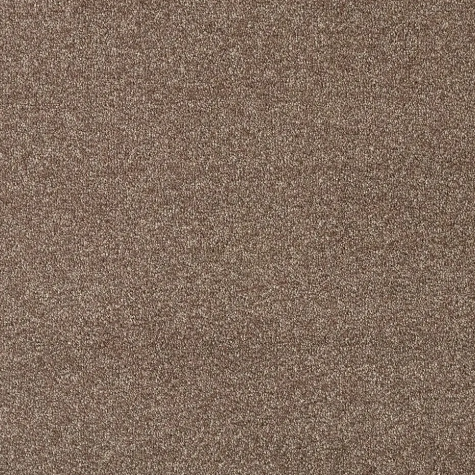 Staal Tapijt Coventry Bruin