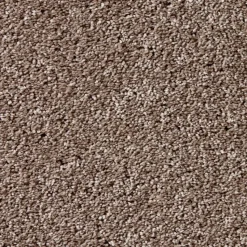 Staal Tapijt Leetsdale Beige